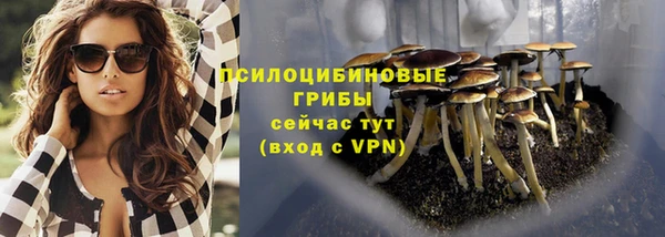 СК Дегтярск