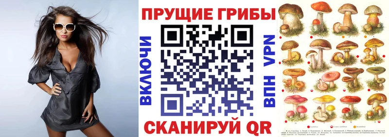 Псилоцибиновые грибы MAGIC MUSHROOMS  Добрянка 