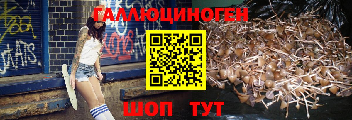 Добрянка  Галлюциногенные грибы ЛСД  Вход с VPN 